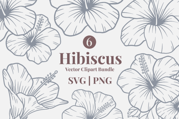 Tropical Hibiscus Line Art Illustrations & Graphics